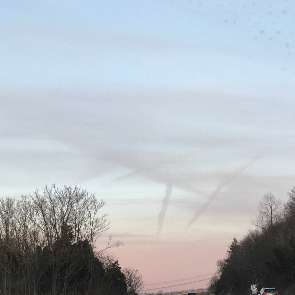 Meet your Posher, Bridget